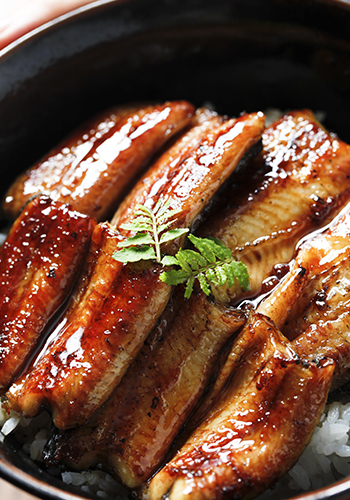 Bowl-of-eel-and-rice-Unagi-Don